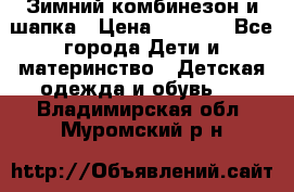 Зимний комбинезон и шапка › Цена ­ 2 500 - Все города Дети и материнство » Детская одежда и обувь   . Владимирская обл.,Муромский р-н